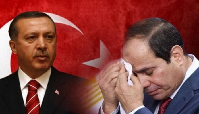 مدير "رايتس ووتش": أردوغان أصاب السيسي بالإحباط