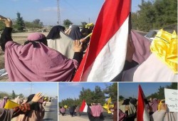 مسيرة وسلسلة بشرية لثوار النوبارية تؤكد عودة روح يناير.. وتُحيّي الشعب التركي على نضاله