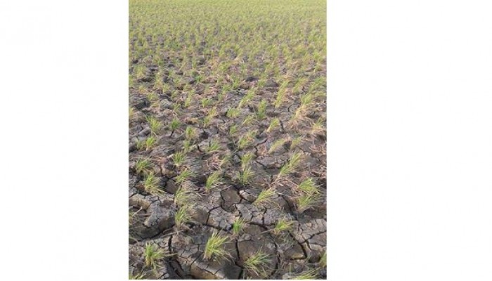 البحيرة : التصحُّر والبوار يجتاحا أراضى أبو حمص.. والأهالي تُعانى من نقص مياه الشرب منذ شهر