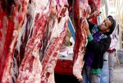 بأسعار فلكية.. ارتفاع أسعار اللحوم والدواجن والأعلاف بالمحافظات