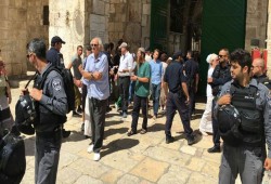 مستوطنون صهاينة يقتحمون المسجد الأقصى