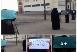 أحرار البحيرة وحرائر القليوبية يواصلون مظاهرات "ثورة يناير راجعة"