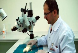 عقار جديد يوقف تدهور دماغ مرضى الزهايمر