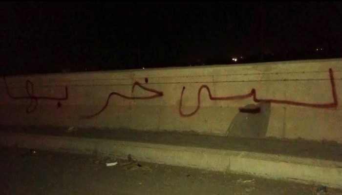 جداريات لثوار كفر الدوار تحت شعار "سيسي خربها"