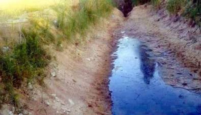 في عهد الانقلاب: الجفاف يتلف محاصيل قرية أبيس بكفر الدوار