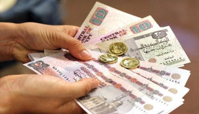 "صندوق النقد" يطلب تعويم الجنيه تماما.. والانقلاب يعرض 11 جنيه للدولار رسمياً