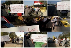 فعالية لثوار النوبارية بالبحيرة ترفع شعار "حلب تنتصر"