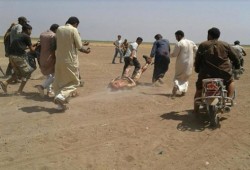 القاسم: يعلق على "سحل الطيار الروسي" على يد السوريين