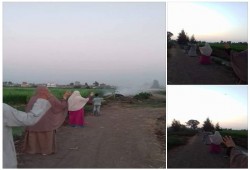 سلسلة بشرية لثوار المحمودية ترفع شعار "مصر بتفلس"