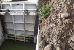 حكومة الانقلاب تمنع المياه عن 500 فدان بالبحيرة والاراضى مهددة بالبوار