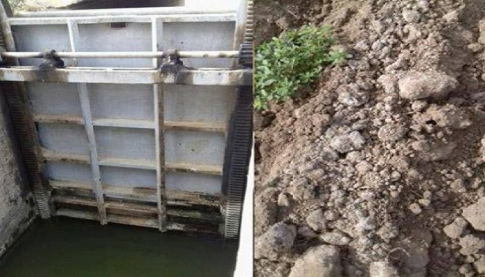 حكومة الانقلاب تمنع المياه عن 500 فدان بالبحيرة والاراضى مهددة بالبوار