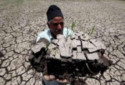 بوار مئات الأفدنة لنقص المياه.. ومزارعون: نروى بمياه الصرف