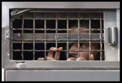 مأمور قسم شرطة أبشواي يحرم المعتقلين من رؤية أبنائهم أثناء الزيارة