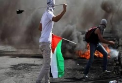 جامعة ألمانية تلغي محاضرة حول الشباب في الأراضي الفلسطينية
