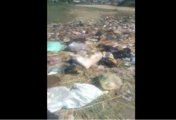 انتشار القمامة بكفر الدوار ومحليات الانقلاب تتجاهل الاستغاثات