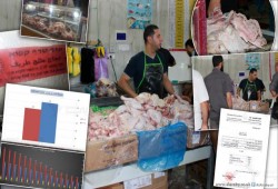 مزارع دواجن الاحتلال تنشر المرض في غزة