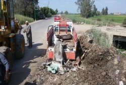 ضبط حمير حيه ومذبوحة داخل سيارة نقل بالغربية