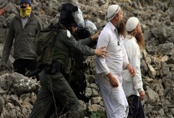 مستوطنون يهاجمون منازل فلسطينية جنوب نابلس