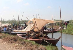 20 ألف صياد ببحيرة إدكو يواجهون شبح البطالة بسبب فساد الانقلاب