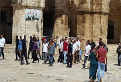 8960 مستوطنًا وعنصرًا احتلاليًّا صهيونياً اقتحموا الأقصى منذ بدء 2016