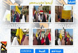 واريرب يدشنون تظاهرات"رابعة قصة وطن" بشعارأزيحوا مخرب مصر