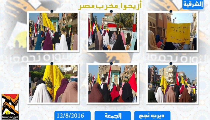 واريرب يدشنون تظاهرات"رابعة قصة وطن" بشعارأزيحوا مخرب مصر