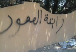 حملة جداريات واسبراى لثوار بولاق على الطريق الدائرى