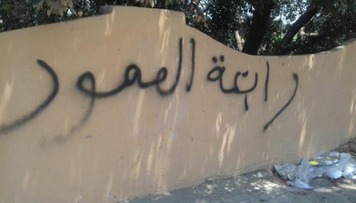 حملة جداريات واسبراى لثوار بولاق على الطريق الدائرى