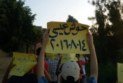 ثوار حوش عيسى يتحدون الداخلية ويطالبون بالقصاص