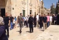 مئات المستوطنين يقتحمون الأقصى وجرحى فلسطينيون