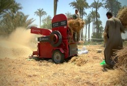 كارثة.. "فساد القمح" يدفع "بلومبرج" لسحب استثماراتها من مصر