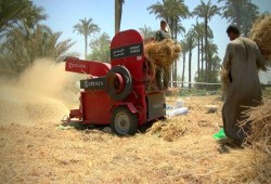 كارثة.. "فساد القمح" يدفع "بلومبرج" لسحب استثماراتها من مصر