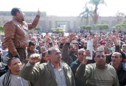 فصل 363 عاملاً "سكندريًّا".. والقوى العاملة: اعمل نفسك ميت