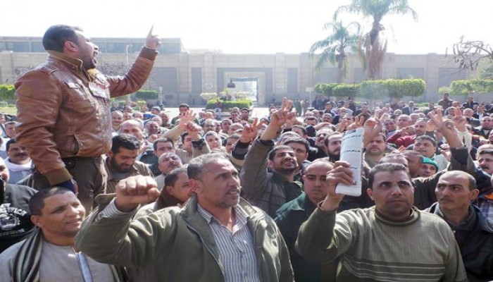 فصل 363 عاملاً "سكندريًّا".. والقوى العاملة: اعمل نفسك ميت