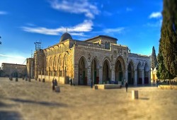 بيان من الاخوان المسلمين في ذكرى حريق الأقصى .. عهد وميثاق