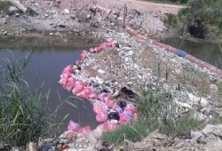 كارثة بيئية تهدد أبو المطامير بالبحيرة