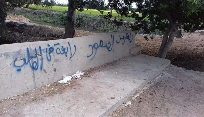 البحيرة  تحت شعار "جوعتونا" جداريات لثوار "المحمودية"