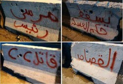 الدقهلية : حملة جداريات جديدة لشباب ضد الانقلاب بأجا