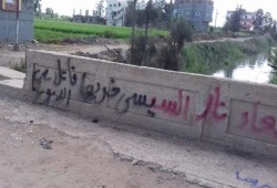 بشعارات "السيسي خربها" جداريات لثوار المحمودية بالبحيرة