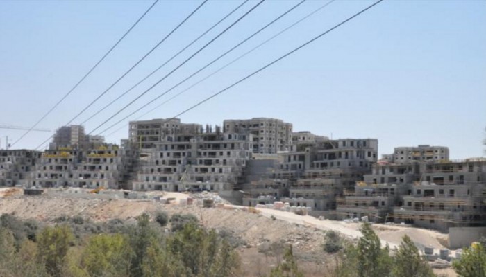 حريش.. أخطبوط استيطاني لشطب الخط الأخضر