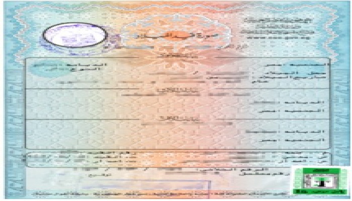 الانقلاب يرفع رسوم استخراج شهادات الميلاد إلى 27 جنيهًا