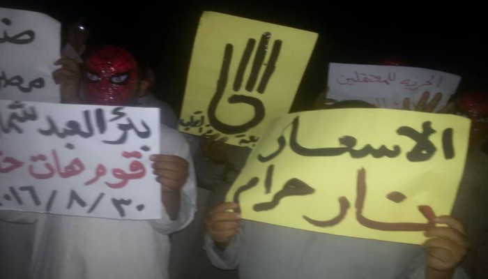 فعاليتان لثوار أرض الفيروز في ذكري انتفاضة 30 اغسطس 2013