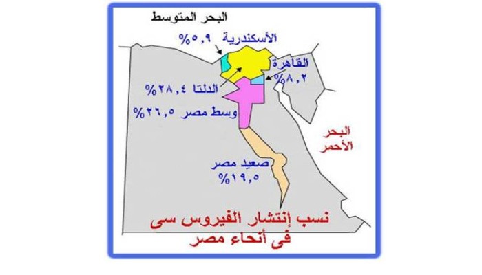 بعد انتشاره الكبير في مصر .. تعلم كيف تحمي نفسك وأسرتك من الإصابة بفيروس "سي"