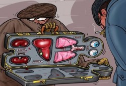 مصر مركز لسياحة تجارة الأعضاء