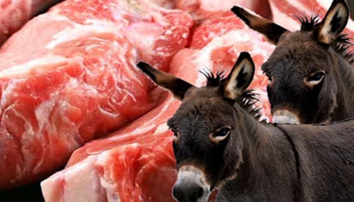 5 علامات تكشف بها "لحم الحمير".. تعرف عليها
