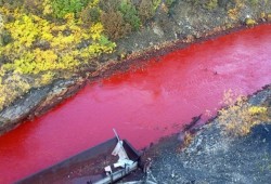 تحول أحد أنهار روسيا إلى اللون الأحمر والأسباب مجهولة