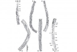 دودة جديدة تحمل اسم "باراك أوباما".. لماذا؟
