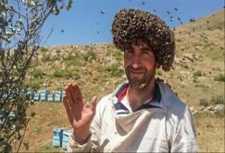 تركي يتخذ من النحل ثوبًا لدخول "جينيس"