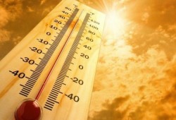 الأرصاد: طقس مائل للحرارة رطب على الوجه البحري.. القاهرة "24 - 34"