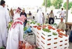 السعودية تنضم للكويت وروسيا وأمريكا في حظر الخضروات والفواكه المصرية